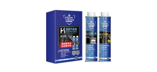 Deep Intake & Exhaust System Maintenance Kit