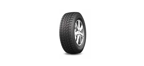 DW501 – Winter Tire for Ice and Snow Performance