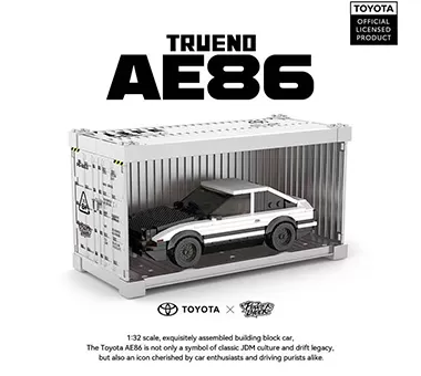 D1 GRAND PRIX Model Car