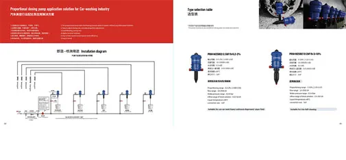 Proportional Dosing Pump for Car-Washing Industry