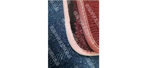 High-Density Hardened Dual-Purpose Velvet Floor Mat