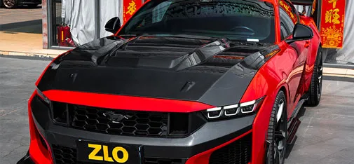 ZLO Hot-Pressed Mustang Carbon Kit