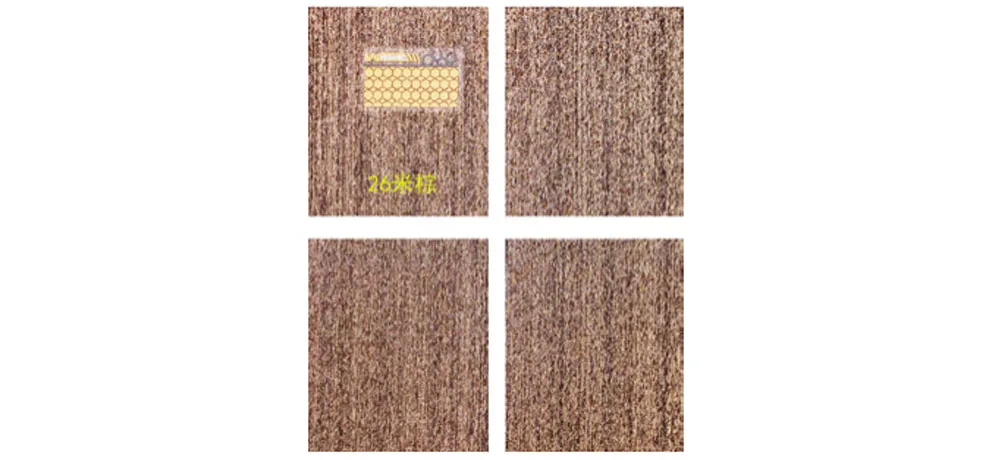 WEISHI Beige Brown Teslin PVC Floor Mat Sets