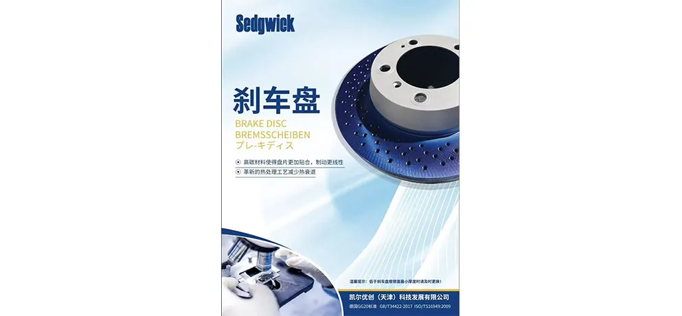 Sedywick Brake Disc