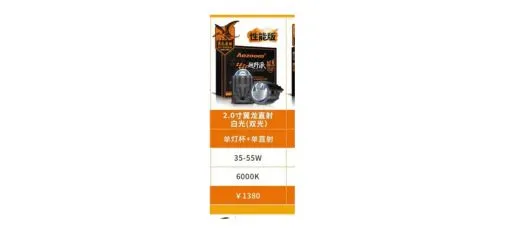 Aozoom Golden-Eye Fog Light 2.0 Inch Wyvern Direct Dual White Light