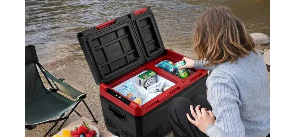 Binghu 2026 New Car Refrigerator