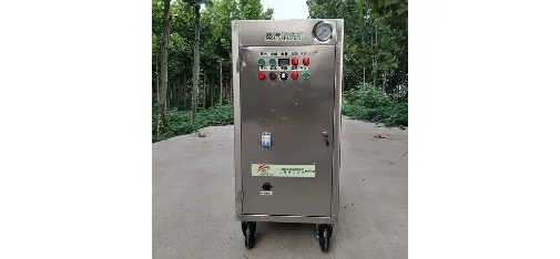 Chuangwang CWR09A Gas-Powered Mobile Steam Car Wash Machine