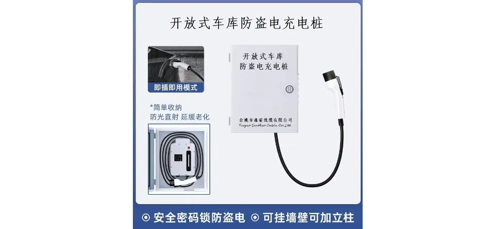 Lunyang Open Garage Anti-theft Charging Box with Password Lock