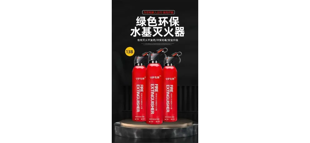 Vehicle Fire Extinguisher