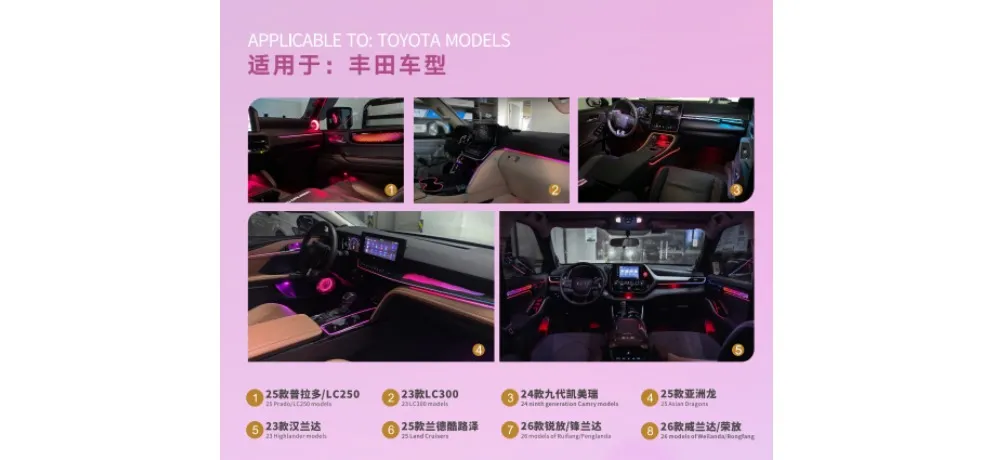 Pangdenglai Business Vehicle Car Interior Ambient Lighting