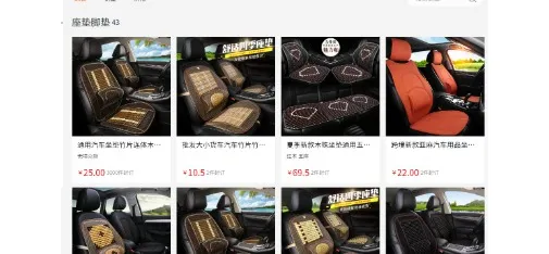 Auto Interior Accessories