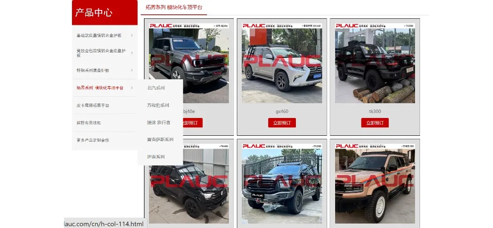 Modular Roof Rack Platform System